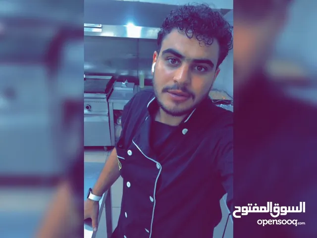 Alaa alzghoul