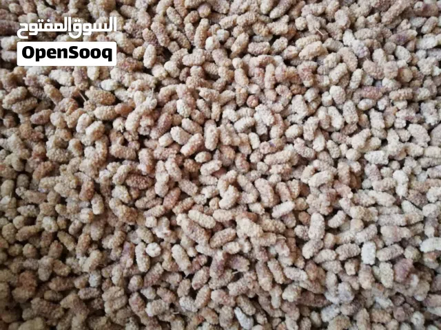 توت مجفف إيراني فاخر من قرية وليان جملة 500 كجم – 1 طن