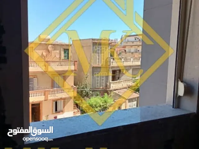 الجزائر الشاطئ