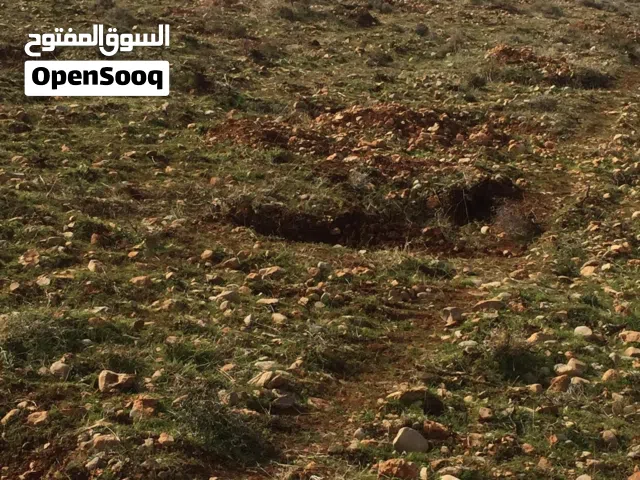 Farm Land for Sale in Rif Dimashq E'sem