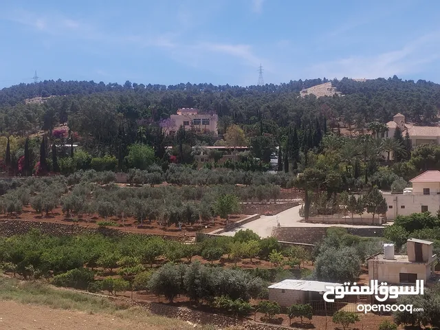 Farm Land for Sale in Jerash Tal Al-Rumman
