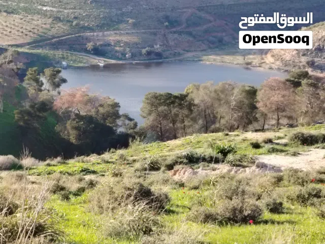 على سد الملك طلال كامل 820 م من اراضي المصطبه حوض النعيمي