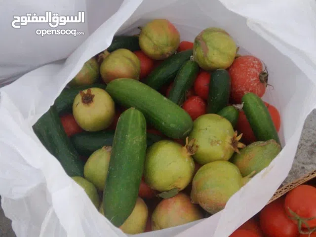 2 Bedrooms Farms for Sale in Al Batinah Al Masnaah