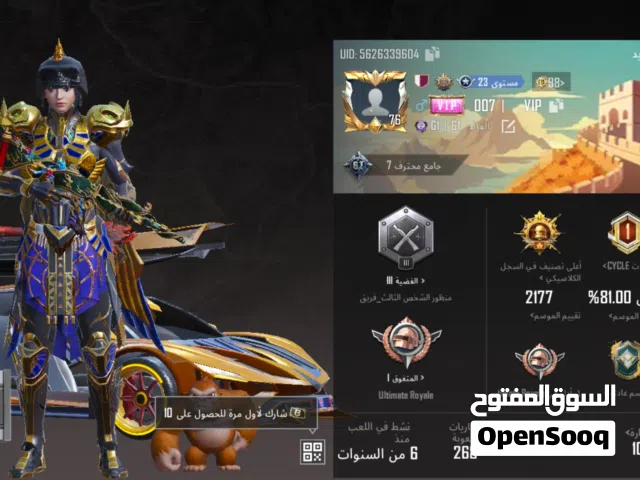 Pubg Accounts and Characters for Sale in Al Dhahirah