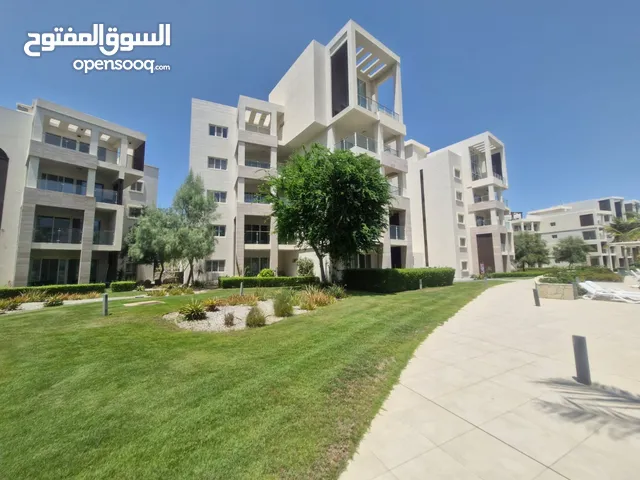 1 BR Amazing Freehold Fully Furnished Apartment in Jebel Sifa