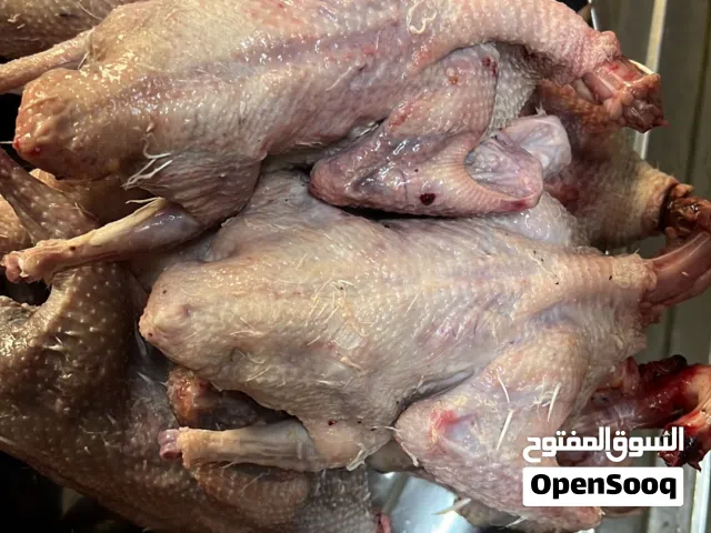 حمام  أنواع  منتج ما شاء الله السعر منسبه اسعر على حسب الحلال