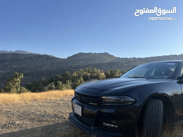 دوج جارجر موديل 2019 كلين