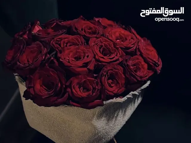 اماني يحيى الجمل