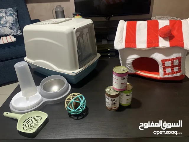 For sale اغراض متفرقات( قطط)