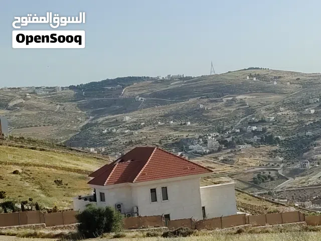 Farm Land for Sale in Zarqa Al-Kamsha