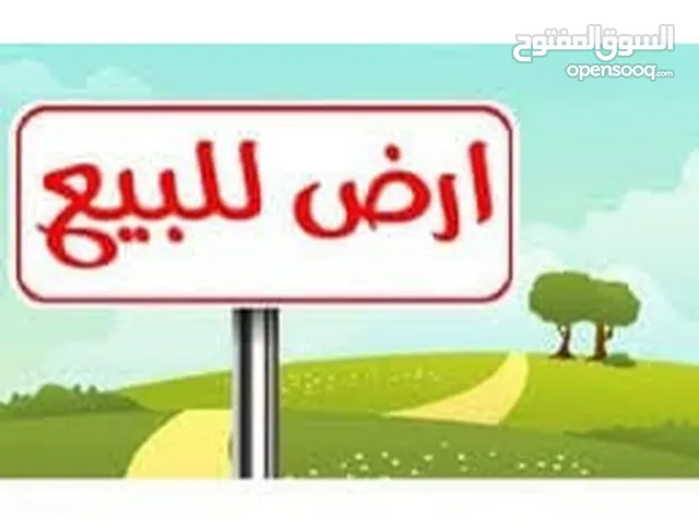 قطعة ارض عين زارة القرقني