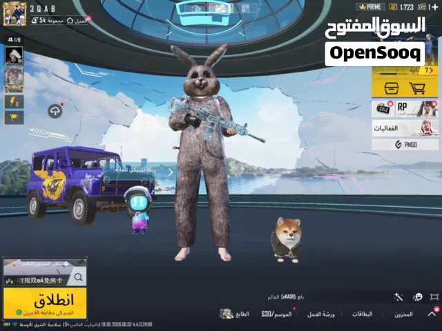 Pubg Accounts and Characters for Sale in Ras Al Khaimah