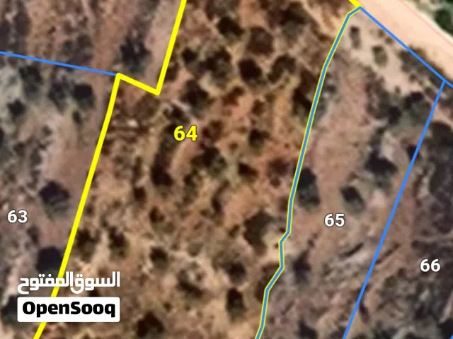 ارض للبيع قريبة من جامعة بيرزيت