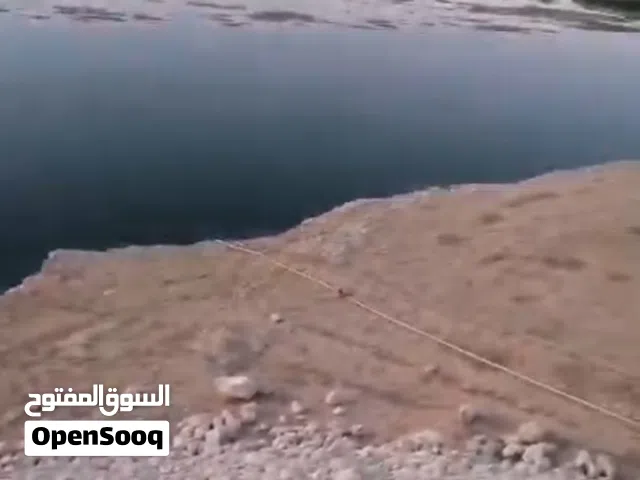 Farm Land for Sale in Mosul Rashideyih