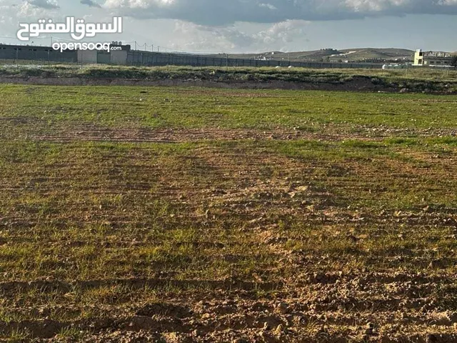Farm Land for Sale in Mafraq Bala'ama