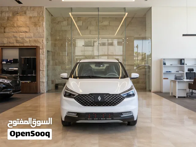 2026 جاي ام اي في EV3