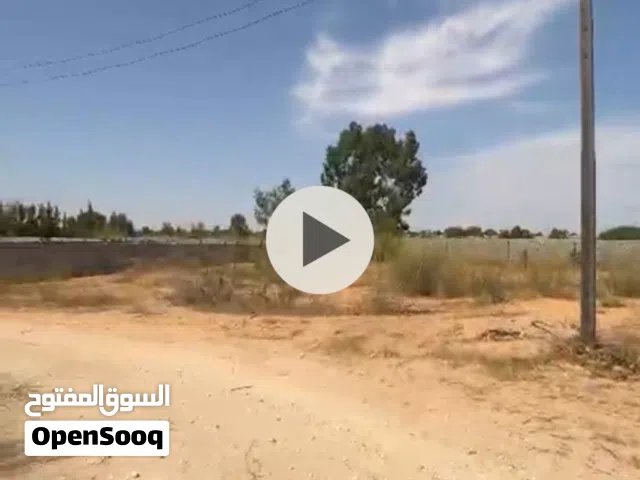 Farm Land for Sale in Tripoli Wadi Al-Rabi
