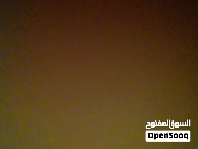 نسناس ب_(500)ج أو يكون تبني ويكون نضيف وحلو