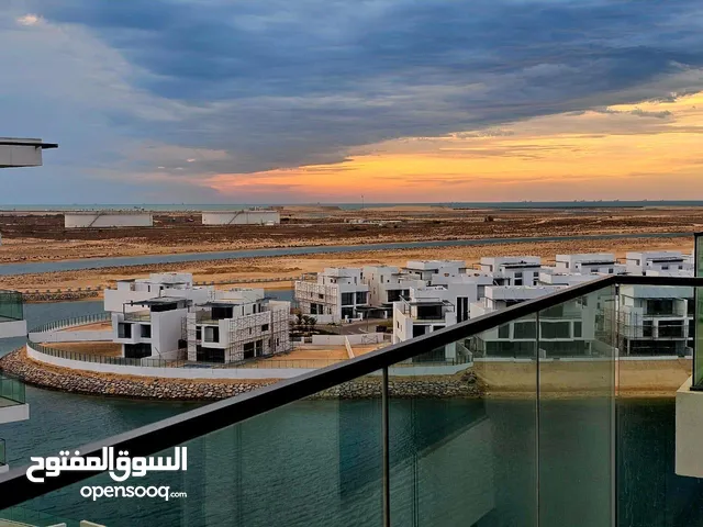 شقة apartment