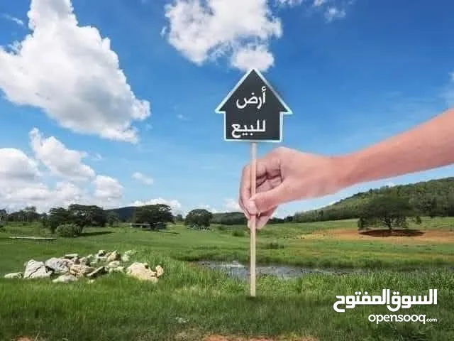 ارض البيع ميزه