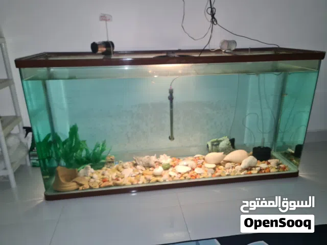 للبيع حوض سمك ضخم متر ونص 1.5 مع ملحقاته
