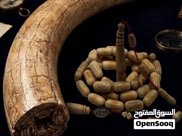 سبحه من عاج الماموث