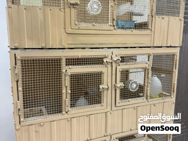 قفص طيورعدداربع خانات  +محميه فوق القفص +خانه حق التخزين
