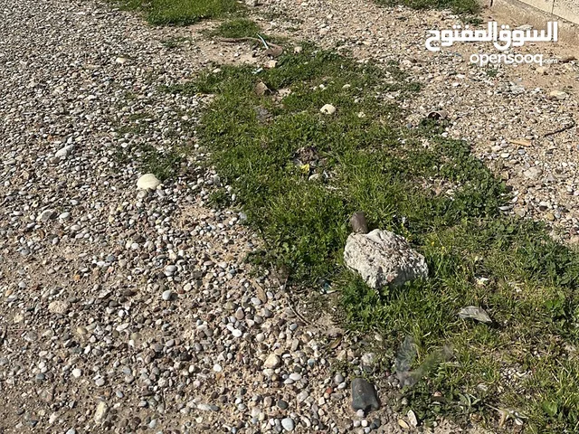 Farm Land for Sale in Karbala Other