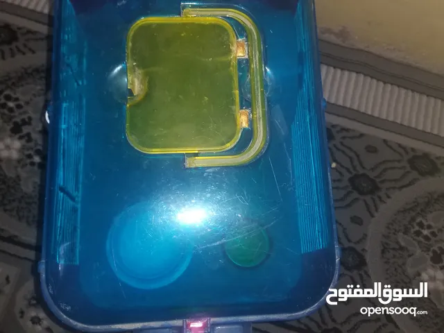 بيت الهامستز