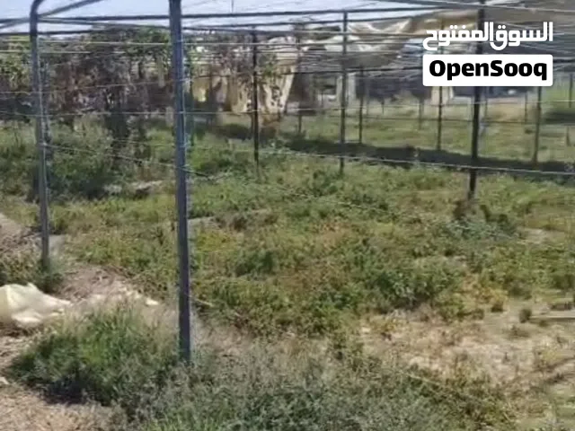 محميه زراعيه للبيع
