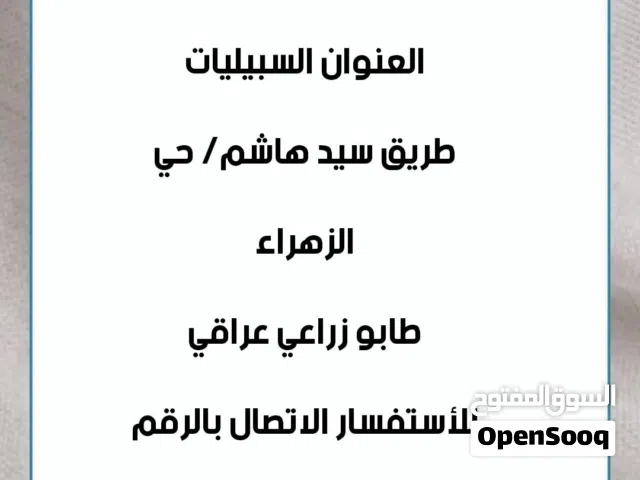 بيت طابوا زراعي عراقي