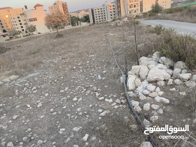 Residential Land for Sale in Jenin American University