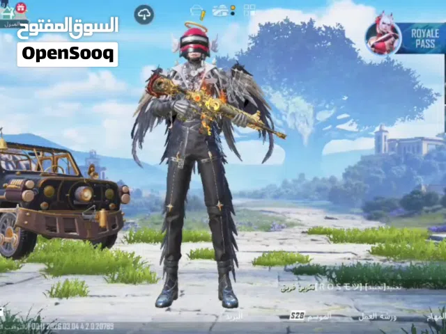 Pubg Accounts and Characters for Sale in Ibb