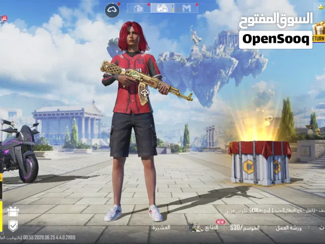 Pubg Accounts and Characters for Sale in Amman