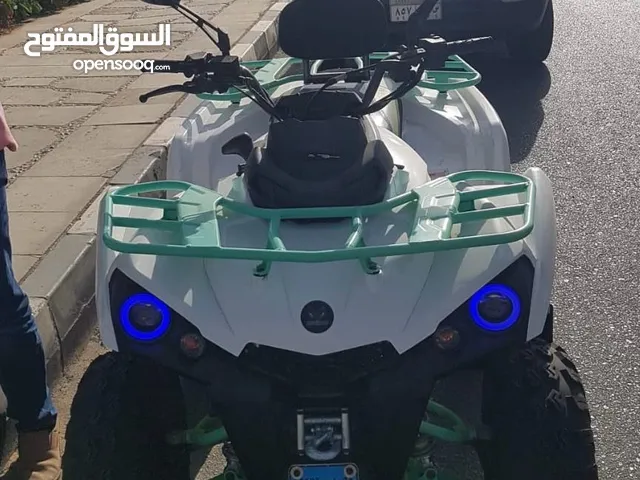 بيتشي باجي