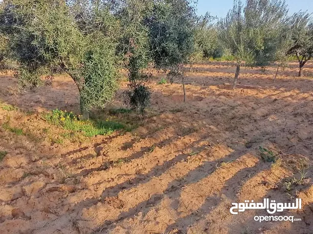 Mixed Use Land for Sale in Sfax Other