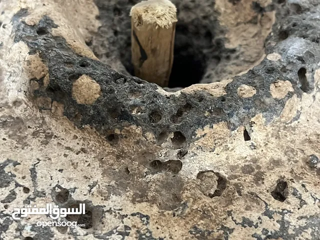 راح قديم عمر فوق 50سنة