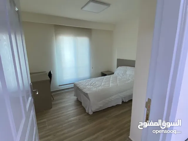 ستيديو سوبر ديلوكس للاجار