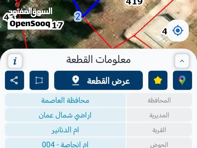 قطعه ارض ام نجاصه ام الدنانير