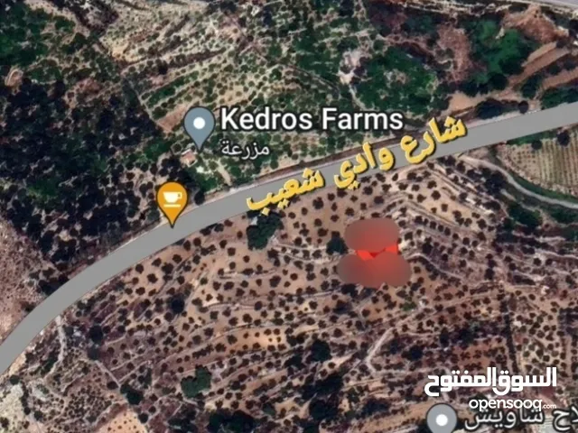 Mixed Use Land for Sale in Salt Wadi Shua'ib
