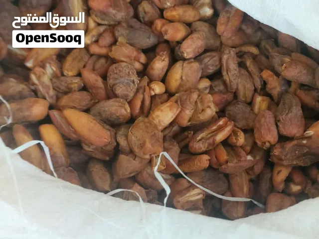 تمر ممتاز للبيع