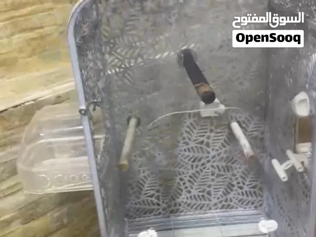 قفص طيور  قفص طيور  قفص طيور