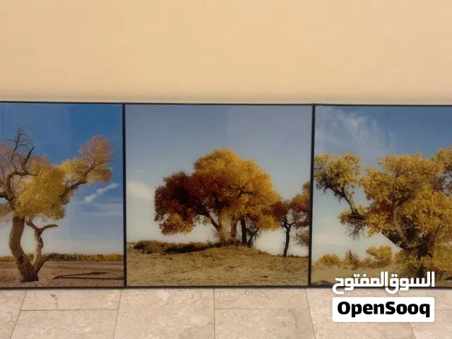 لوحات حائطية