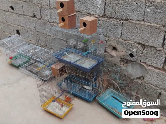 اقفاص الله يبارك