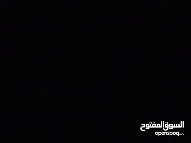 مطلوب كلب للتبني