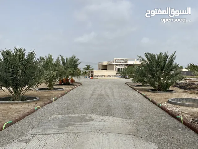 More than 6 bedrooms Farms for Sale in Al Batinah Al Masnaah