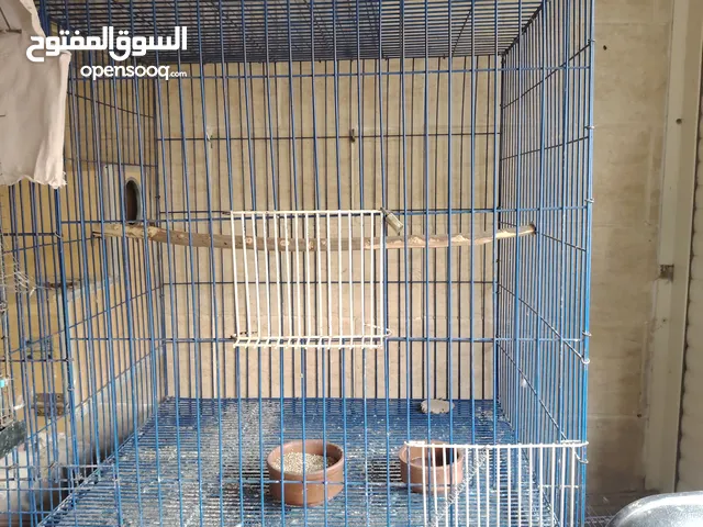 قفص بغبغانات