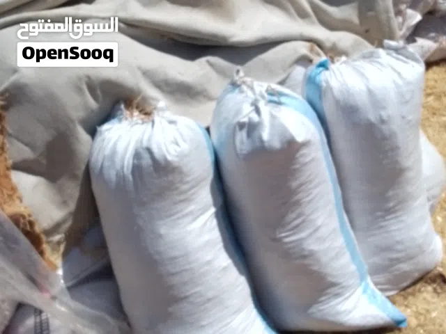 تبن قمح شوال مدروس على دراسه العدد 250