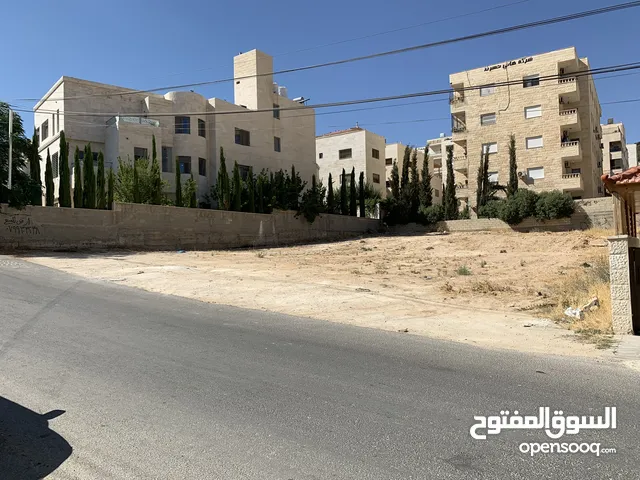 Residential Land for Sale in Amman Al-Amir Hamzah