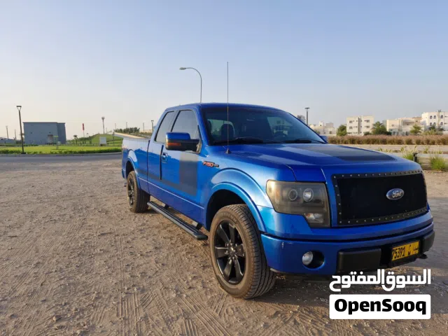 2013 فورد اخرى